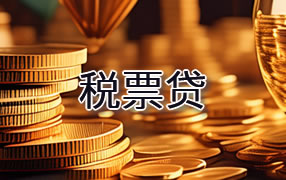 玉树税票贷